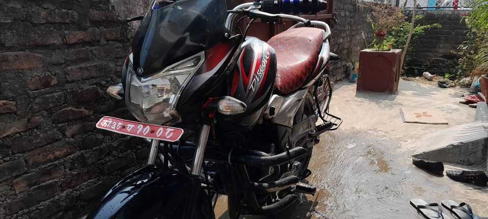 Used 2019 Bajaj Plusar 150 bike for sale in Biratnagar - Image 3 of 7