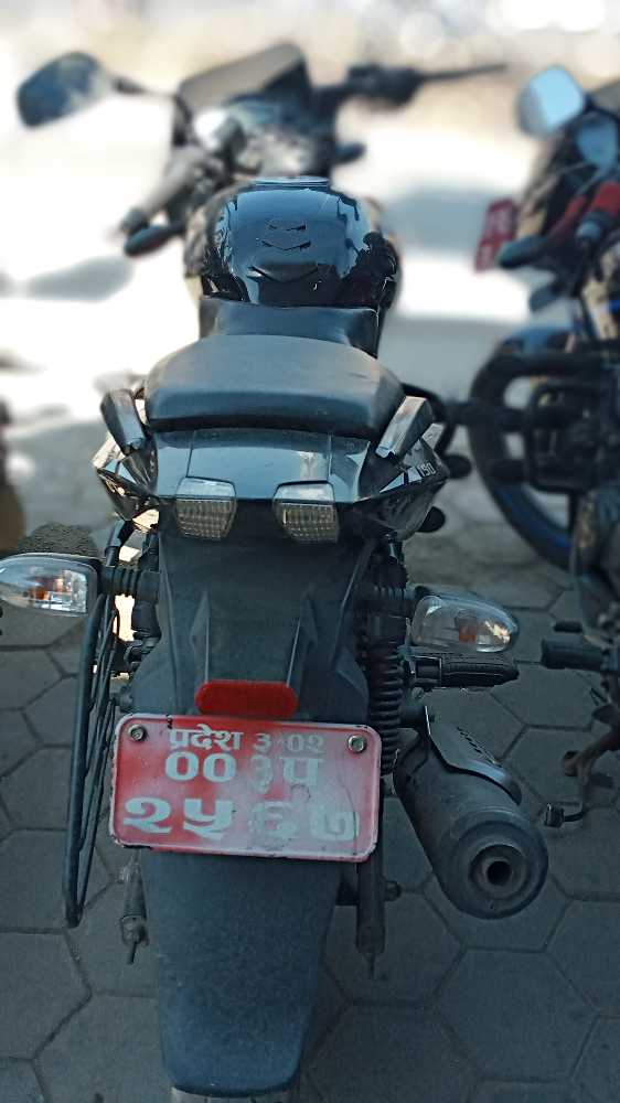 Used 2019 Bajaj Plusar 150 bike for sale in Kathmandu - Image 2 of 5