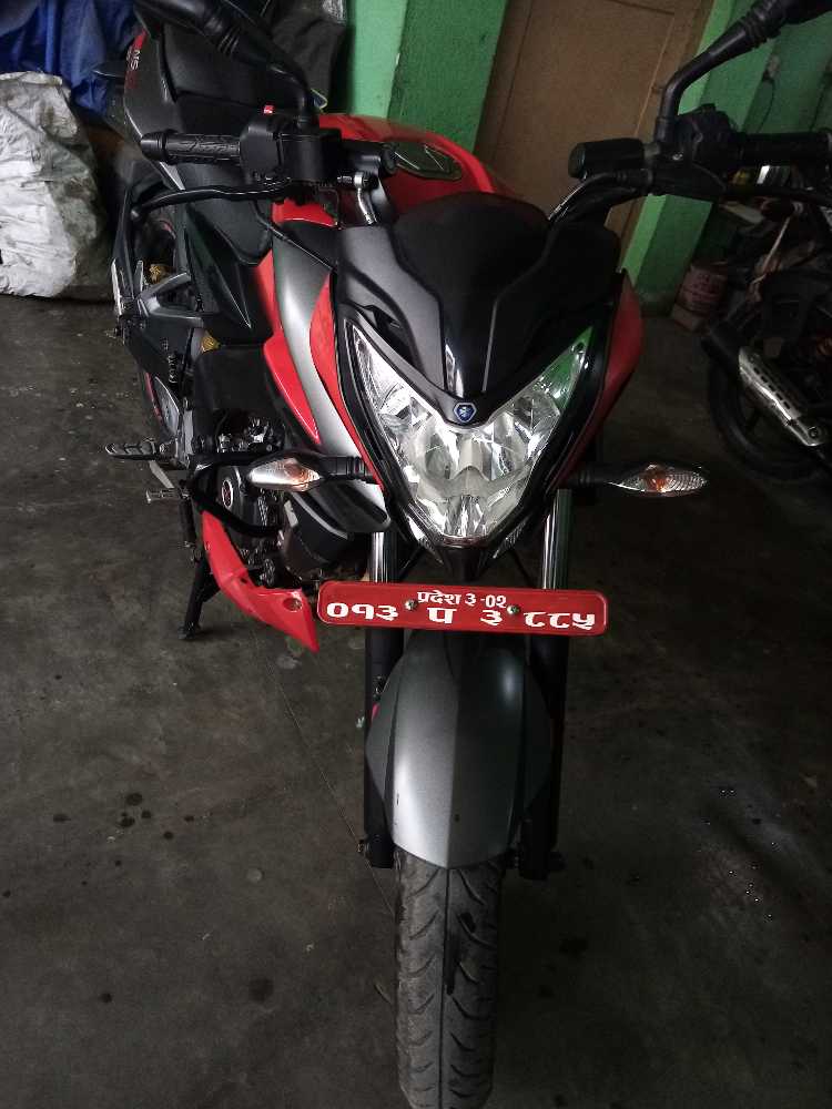 Used 2019 Bajaj NS 200 bike for sale in Kathmandu - Image 1 of 2