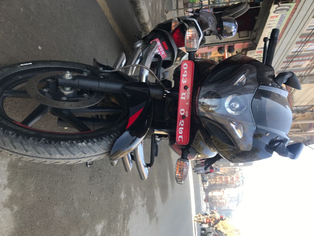Used 2019 Bajaj Plusar 220 bike for sale in Kathmandu - Image 1 of 1