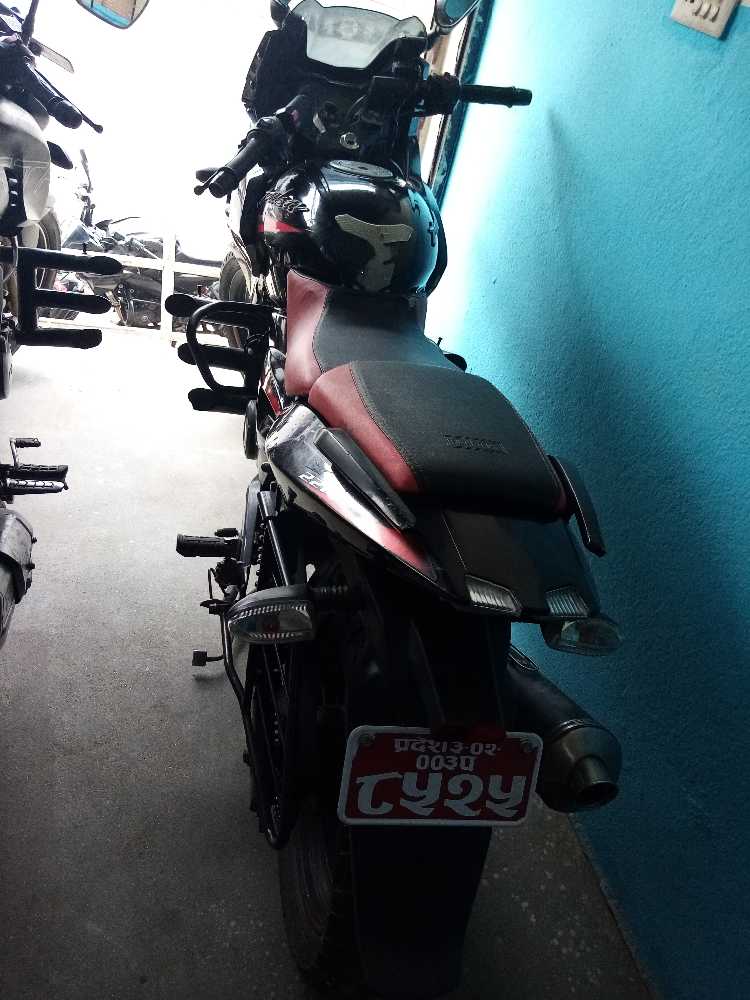 Used 2019 Bajaj Plusar 220 bike for sale in Kathmandu - Image 2 of 2