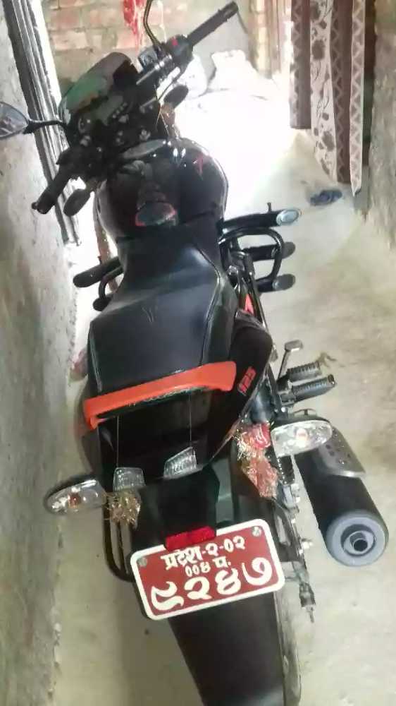 Used 2021 Bajaj Pulsar 125 bike for sale in Janakpur - Image 5 of 5