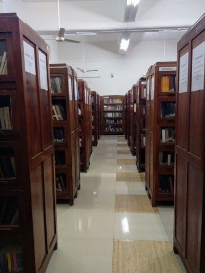 Ex-Library Books Explained
