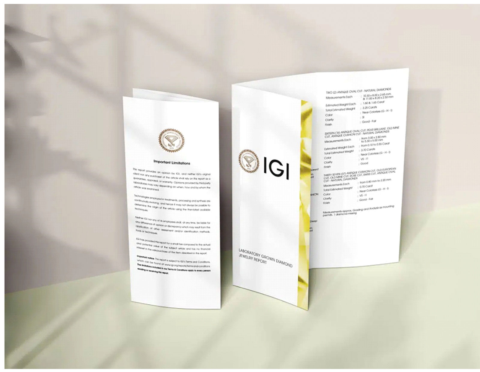 IGI Lab Grown Diamond Grading Report Brochure