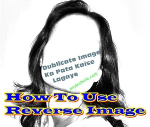 revesre image
