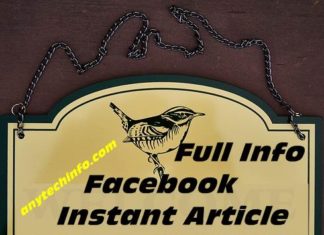 What is Facebook Instant Article And How Does It Work In Hindi Facebook Instant Article