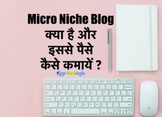 Micro Niche Blog क्या है और इससे पैसे कैसे कमायें ? Complete Guide In Hindi micro niche blog