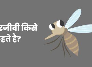 Parjivi Kise Kahate Hain – परजीवी किसे कहते है