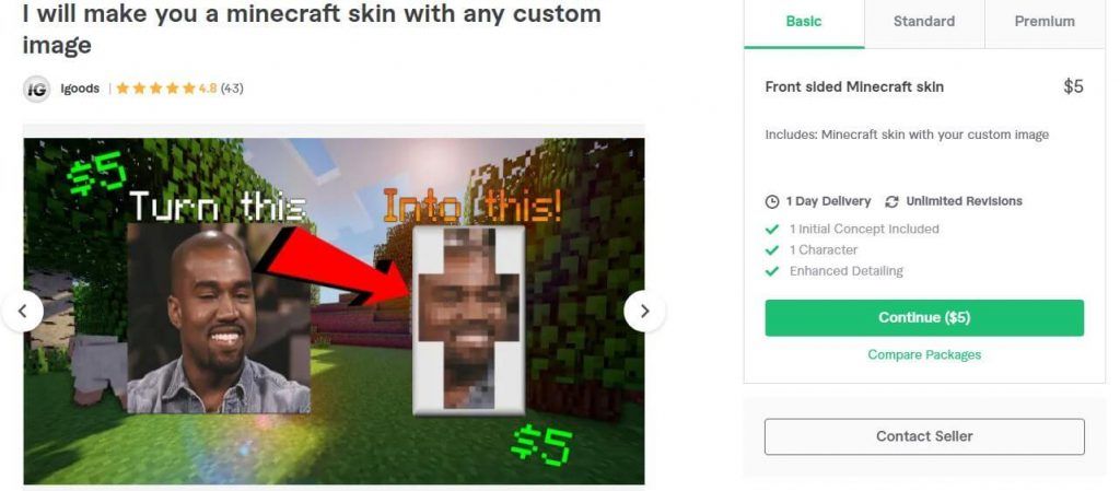 Minecraft skin commission with custom image