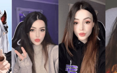 Veibae VTuber Face Reveal, Fascinating Facts, and More