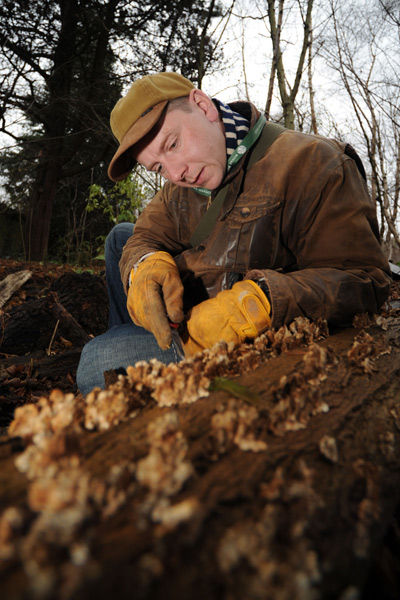Autumn Fungi Forager