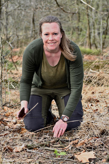 WESTCOUNTRY BUSHCRAFT - Westcountry Bushcraft