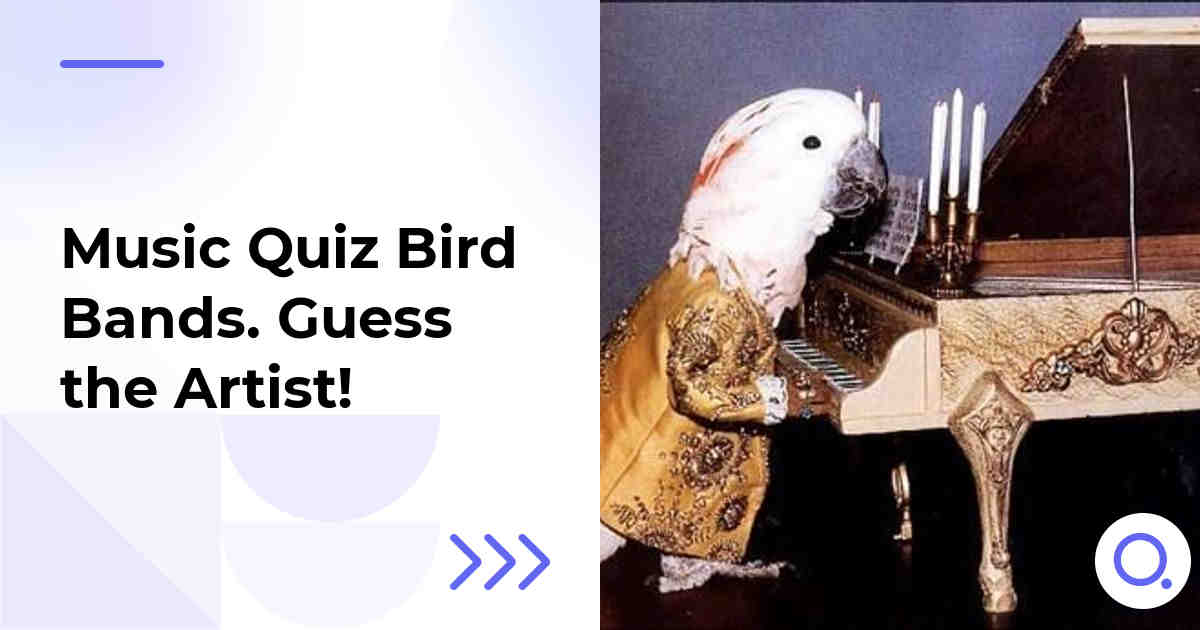 Music Quiz: Bird Bands :: Guess the Artist!