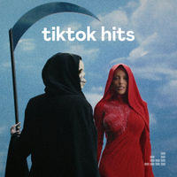 TikTok Hits