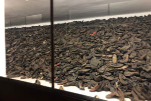 Auschwitz