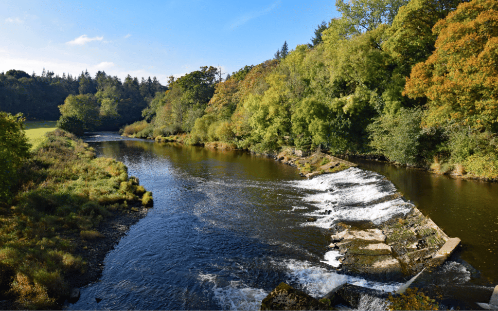 river bend