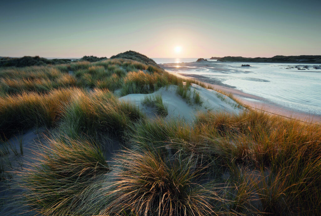 A sand dune in North Devon with the sun setting in the background
