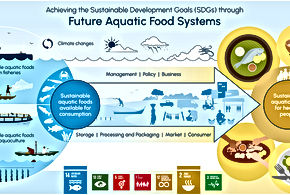 Food Systems Through Uncharted Waters