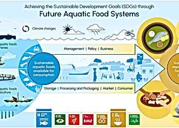 Food Systems Through Uncharted Waters