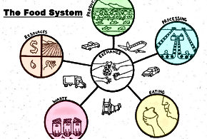 Food Systems Undergoing Radical Shifts