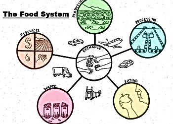 Food Systems Undergoing Radical Shifts
