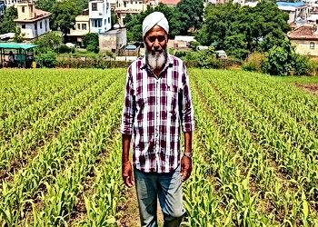 Food Systems Under Stress