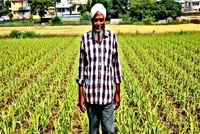 Food Security Challenges