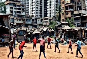 Cricket's Urbanization Challenge