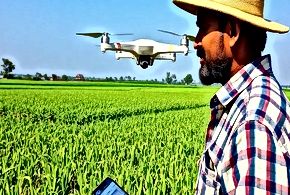 The Impact of Climate Change on Indian Agriculture