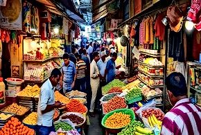Food Systems Interconnectedness