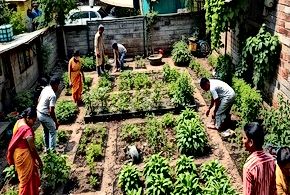 Urban Greenspaces