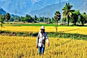 Sustainable Agriculture Practices