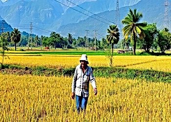 Sustainable Agriculture Practices