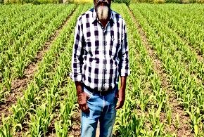 Food Systems Resilience