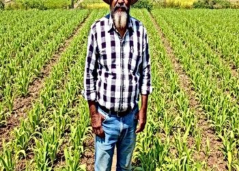 Food Systems Resilience