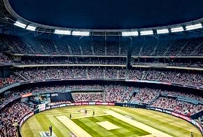Cricket's Urban Landscape Shift