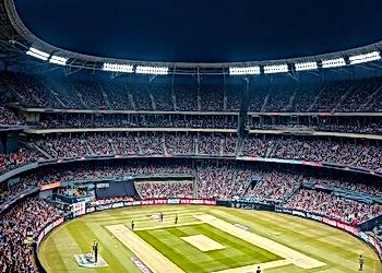 Cricket's Urban Landscape Shift