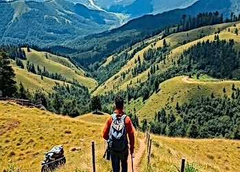 Beyond the Beaten Path