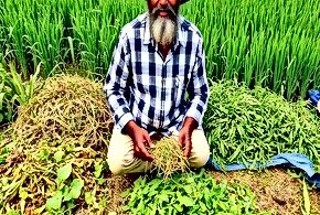Food Systems Vulnerability