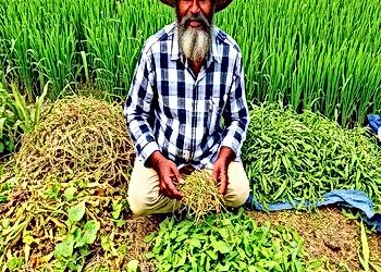 Food Systems Vulnerability