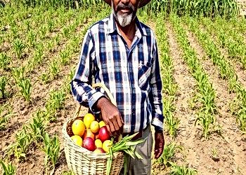 Sustainable Food Systems in India