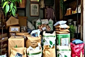 Sustainable E-commerce Practices