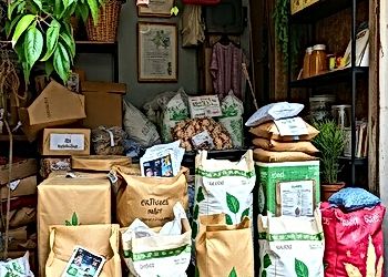Sustainable E-commerce Practices