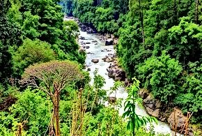 Biodiversity Hotspots Under Siege