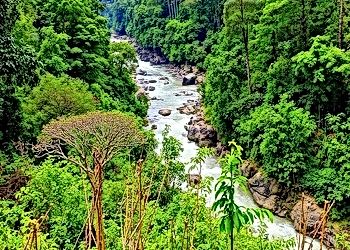 Biodiversity Hotspots Under Siege