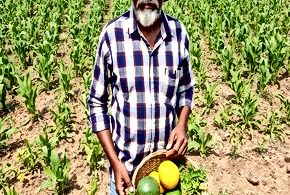 Rural Food Systems in India