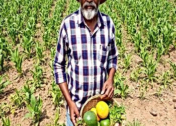 Rural Food Systems in India