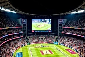 Cricket's Economic Dilemma