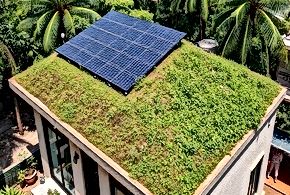 The Role of Sustainability in Indian Startups