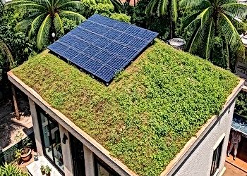 The Role of Sustainability in Indian Startups